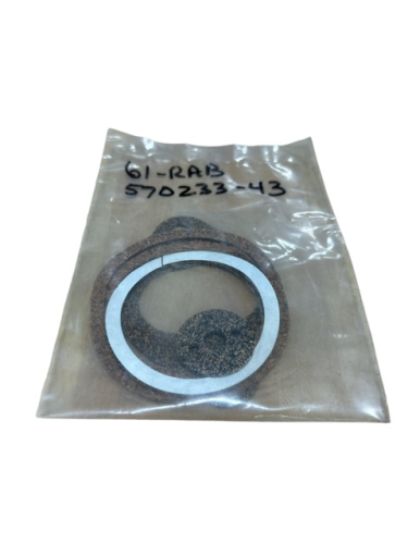 61-RAB - GASKET SET,FOR REN OIL LEVEL (570233-43)