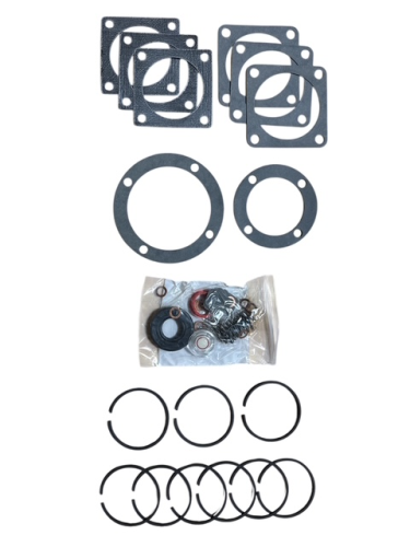 CF1310 - REBUILD KIT,FOR FURTIS VP3-CURTIS
