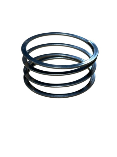 6909 - VALVE SPRING,FOR QUINCY COMPRESSOR