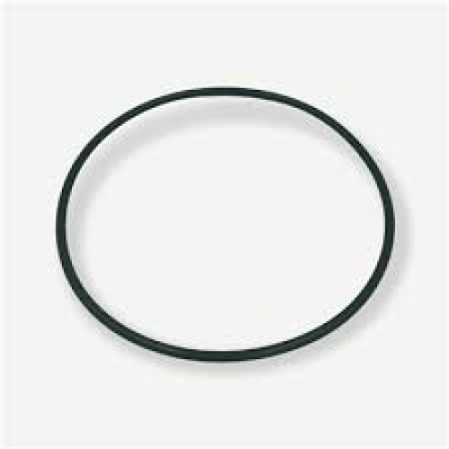 220188 - DOOR SEAL FOR SENTINEL BOP