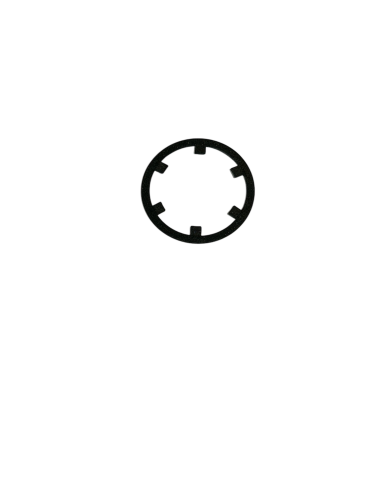 P49438 - RETAINING RING R431001749-REXROTH