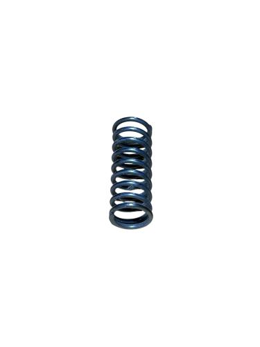 P54653 - SPRING,FOR H TYPE C R431003412-REXTOTH