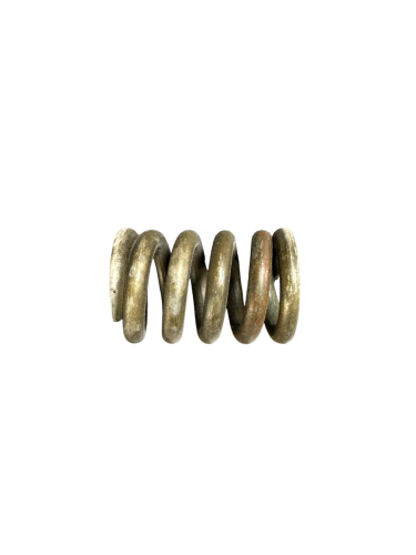 P55442 - SPRING,0-65 PSI R431003732-REXROTH