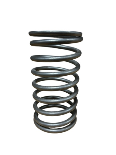 OS-G-SPRING - SPRING,FOR TYPE G OIL SAVER
