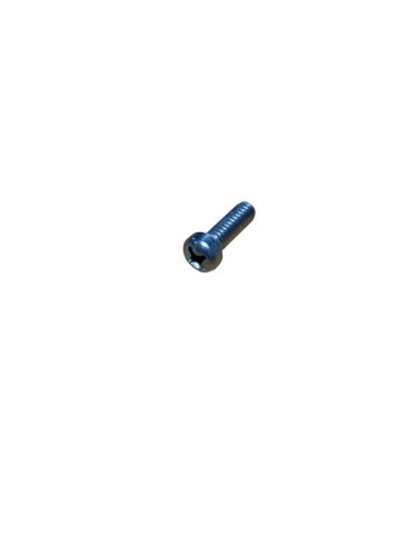 11-120 - VALVE CAP SCREW FOR FOSTER TONGS